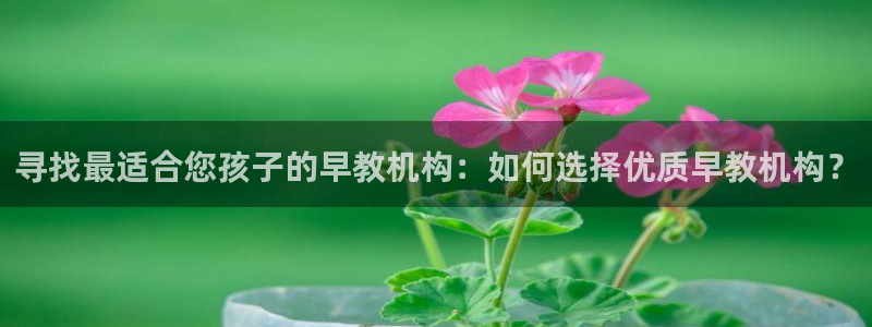 恒行2韩74OOO5：寻找最适合您孩子的早教机构：如何选择优质早教机构？