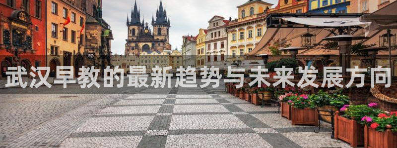恒行2陈74OOO5：武汉早教的最新趋势与未来发展方向