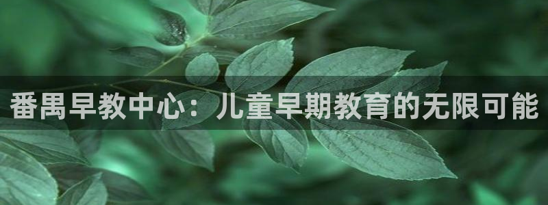 恒指5行情 如来再我心：番禺早教中心：儿童早期教育的无限可能