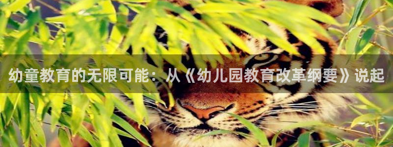 恒行2那74OOO5：幼童教育的无限可能：从《幼儿园教育改革纲要》说起