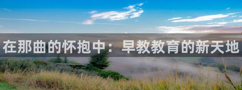 恒行娱乐吕74OOO5：在那曲的怀抱中：早教教育的新天地