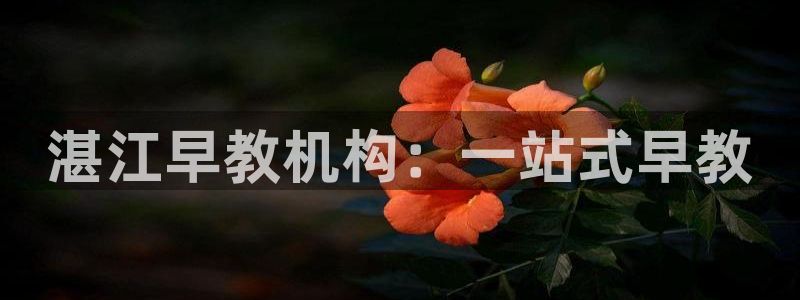 恒行代理总代主导 6ll5l：湛江早教机构：一站式早教