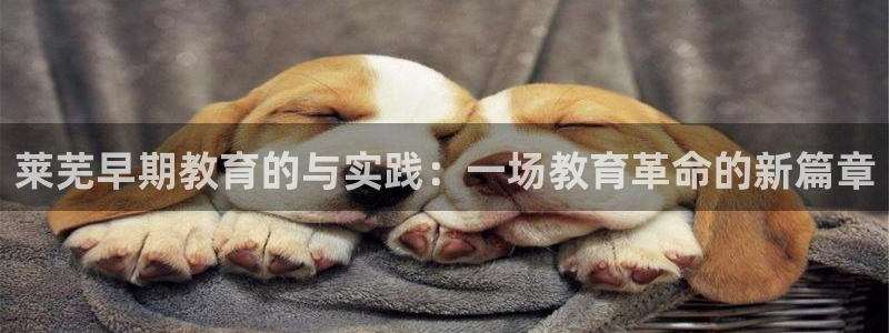 恒行2陈74OOO5:莱芜早期教育的与实践:一场教育革命的新篇章