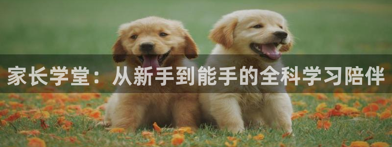 恒行娱乐掏沂74ooo5弛：家长学堂：从新手到能手的全科学习陪伴