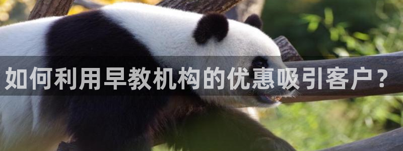 恒行娱乐登录5ll533主管一流:如何利用早教机构的优惠吸引客户?