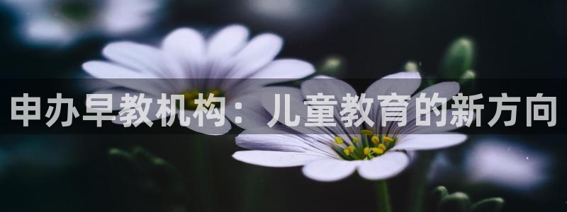 恒行娱乐老板推荐5ll533主管：申办早教机构：儿童教育的新方向