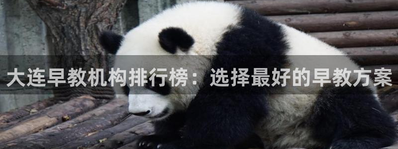 恒行2下74OO5:大连早教机构排行榜:选择最好的早教方案