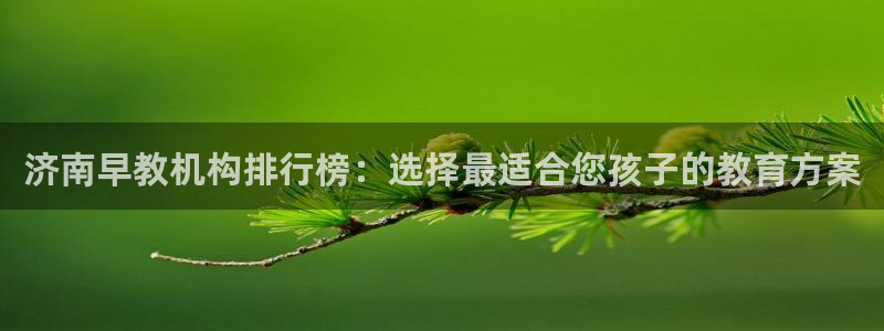 恒行娱乐景74ooo5诿抢：济南早教机构排行榜：选择最适合您孩子的教育方案