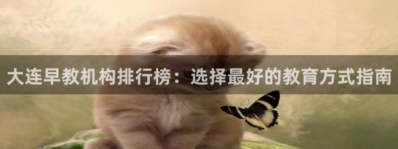 恒行5娱乐：大连早教机构排行榜：选择最好的教育方式指南