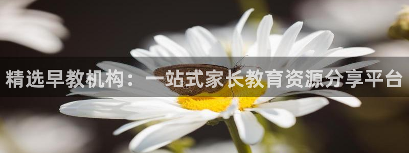 恒行主管首问6ll5l:精选早教机构:一站式家长教育资源分享平台