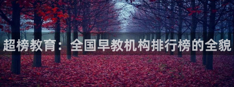 恒行彩票亏5千：超榜教育：全国早教机构排行榜的全貌