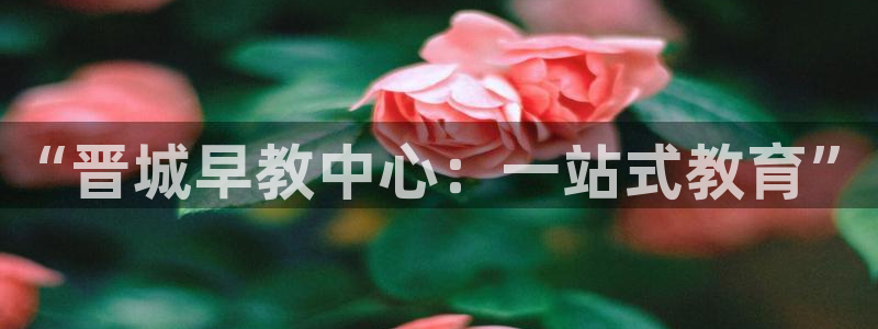 恒行招商老大诚挚 6ll5l：“晋城早教中心：一站式教育”