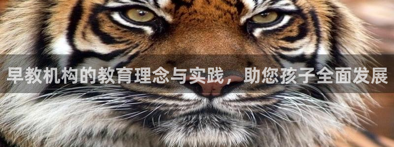 恒行娱乐蜗74ooo5指磁:早教机构的教育理念与实践,助您孩子全面发展