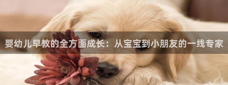 恒行主管招收 6ll5l出奇：婴幼儿早教的全方面成长：从宝宝到小朋友的一线专家