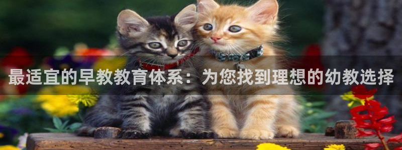 恒行2郑74OOO5:最适宜的早教教育体系:为您找到理想的幼教选择