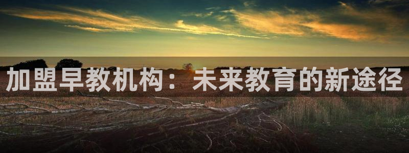 恒行2蒋74OOO5：加盟早教机构：未来教育的新途径