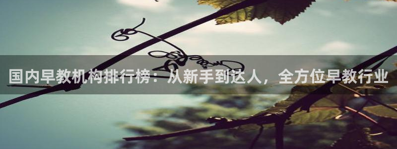 恒行娱乐5ll533主管正直:国内早教机构排行榜:从新手到达人,全方位早教行业