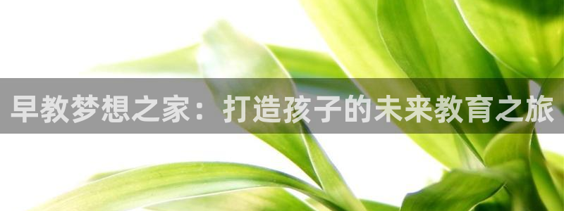 恒行主管招收 6ll5l出奇:早教梦想之家:打造孩子的未来教育之旅