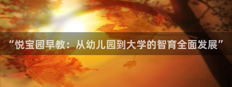 恒行主管6ll5l指定：“悦宝园早教：从幼儿园到大学的智育全面发展”