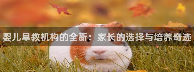 恒行2周74OOO5:婴儿早教机构的全新:家长的选择与培养奇迹