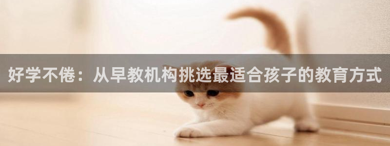 恒行2吴74OOO5:好学不倦:从早教机构挑选最适合孩子的教育方式