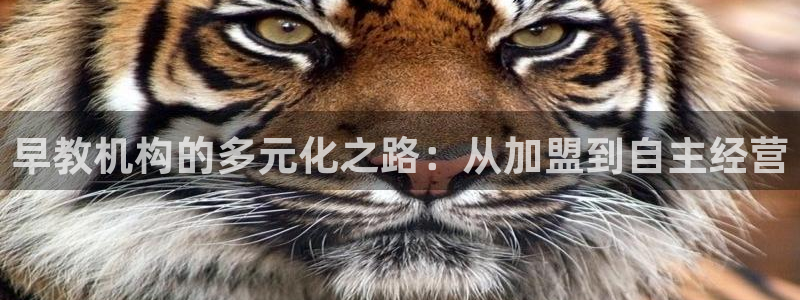 恒行2吕74OOO5：早教机构的多元化之路：从加盟到自主经营