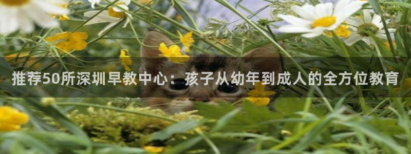恒行主管总代6ll5l周至:推荐50所深圳早教中心:孩子从幼年到成人的全方位教育