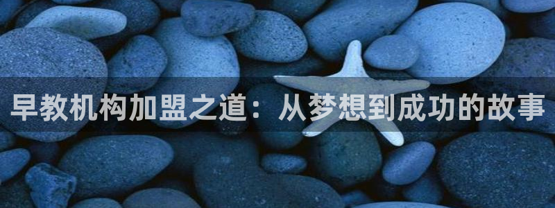 恒行2乃5O6917：早教机构加盟之道：从梦想到成功的故事