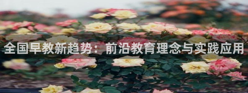 恒行2韩74OOO5：全国早教新趋势：前沿教育理念与实践应用