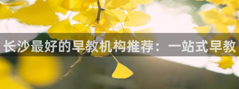 恒行5：长沙最好的早教机构推荐：一站式早教