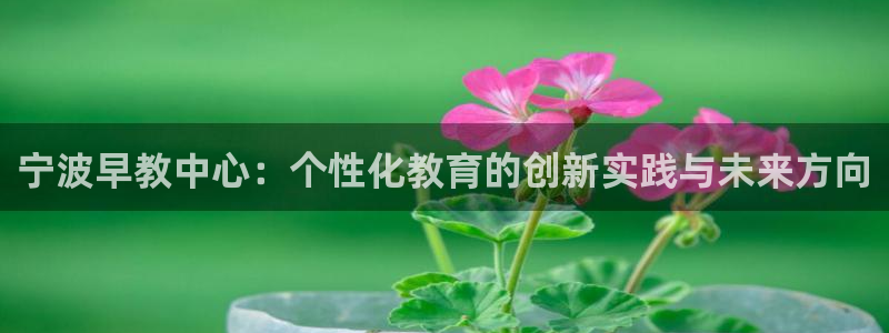 恒行娱乐蜗74ooo5指磁：宁波早教中心：个性化教育的创新实践与未来方向