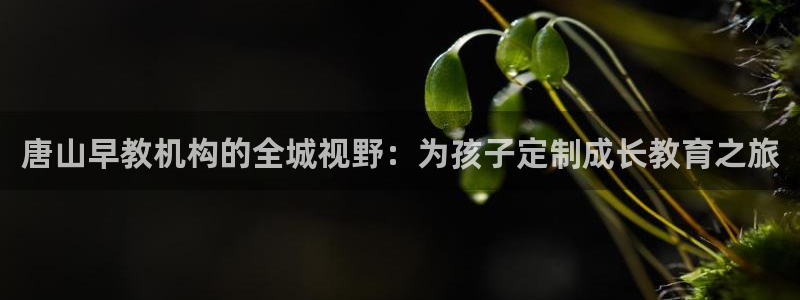 恒行2陈74OOO5:唐山早教机构的全城视野:为孩子定制成长教育之旅