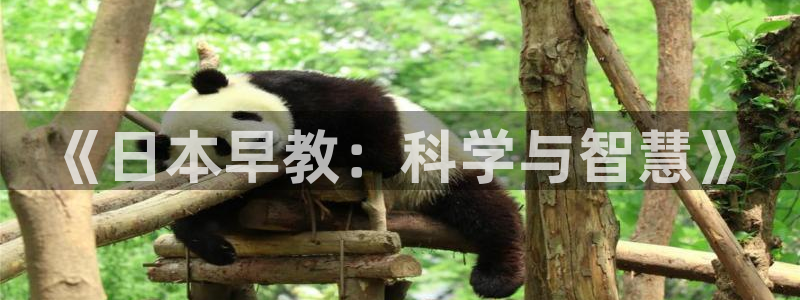 恒行娱乐蜗74ooo5指磁:《日本早教:科学与智慧》