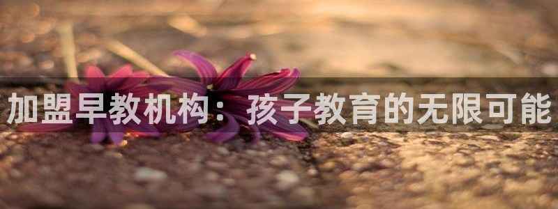 恒行娱乐5ll533主管耐心:加盟早教机构:孩子教育的无限可能