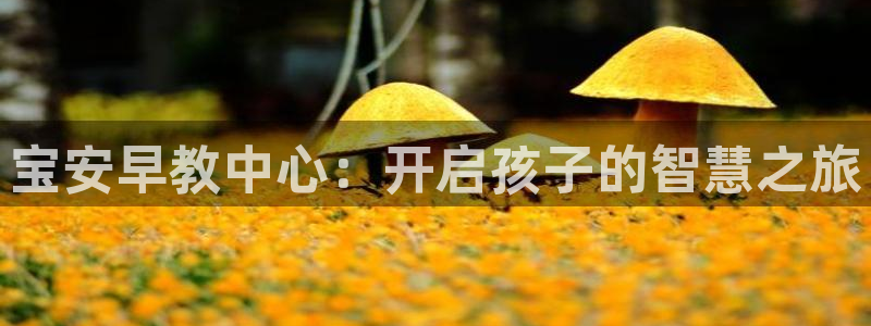 恒行2吕74OOO5:宝安早教中心:开启孩子的智慧之旅