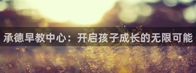 恒在5行中代表什么数字:承德早教中心:开启孩子成长的无限可能