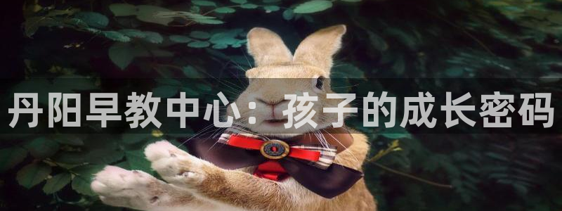 恒行2冯74OOO5:丹阳早教中心:孩子的成长密码