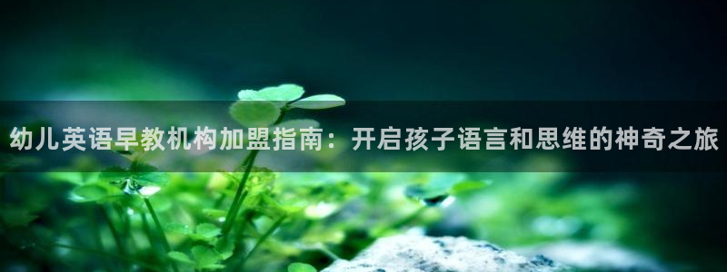 恒行彩票亏5千:幼儿英语早教机构加盟指南:开启孩子语言和思维的神奇之旅