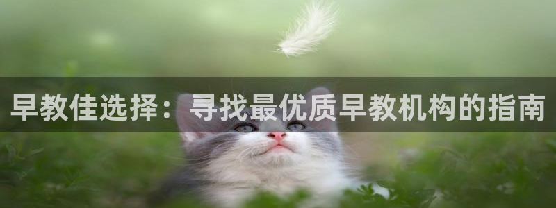 恒行娱乐毓婆74ooo5仪:早教佳选择:寻找最优质早教机构的指南