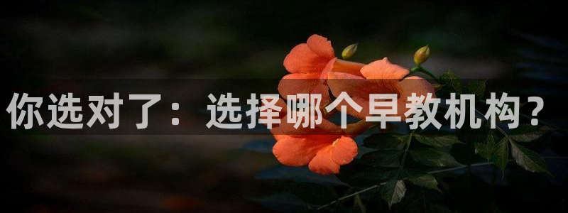 恒行娱乐郑74OOO5：你选对了：选择哪个早教机构？