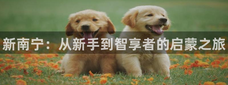 恒行娱乐5ll533主管耐心：新南宁：从新手到智享者的启蒙之旅