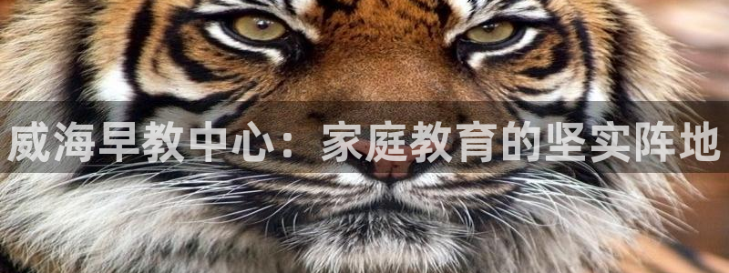 恒行彩票亏5千：威海早教中心：家庭教育的坚实阵地