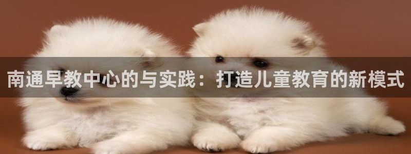 恒行2周74OOO5：南通早教中心的与实践：打造儿童教育的新模式