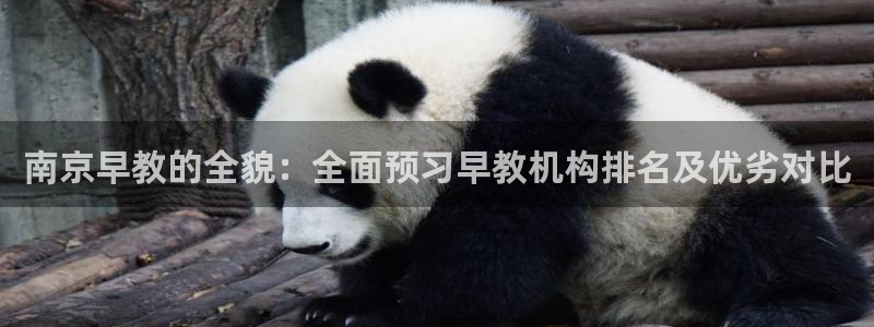 恒行娱乐冯74OOO5:南京早教的全貌:全面预习早教机构排名及优劣对比