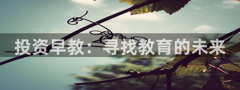 恒行主管6ll5l指定:投资早教:寻找教育的未来