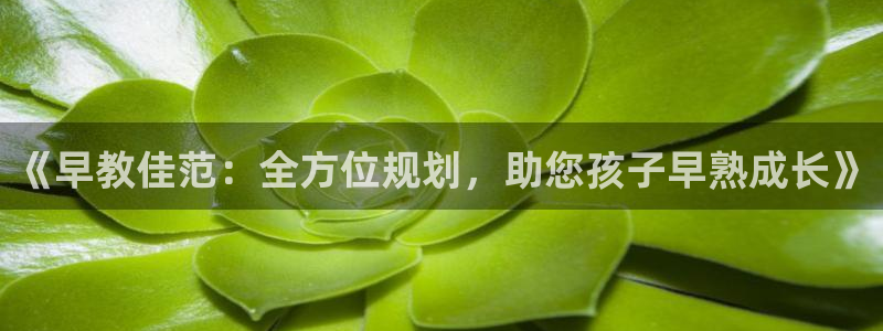 恒行娱乐5ll533主管正直:《早教佳范:全方位规划,助您孩子早熟成长》