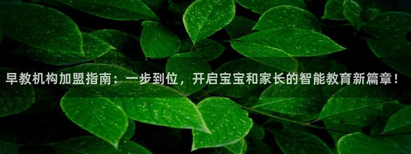 恒行彩票亏5千:早教机构加盟指南:一步到位,开启宝宝和家长的智能教育新篇章!