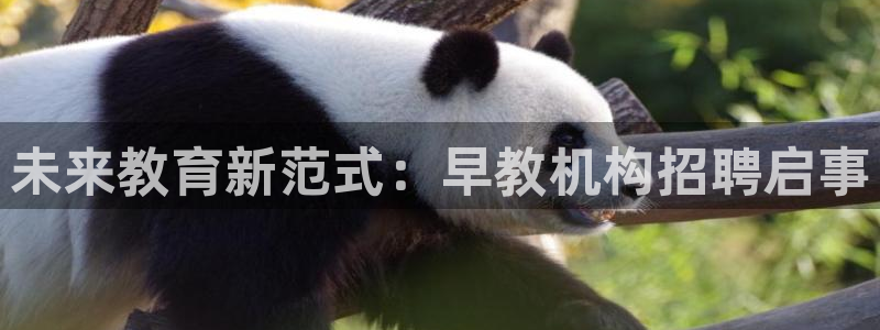 恒行招商老大诚挚 6ll5l:未来教育新范式:早教机构招聘启事