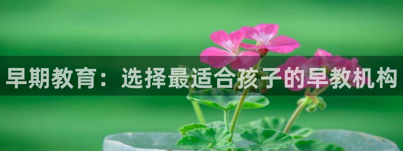 恒行娱乐吕74OOO5:早期教育:选择最适合孩子的早教机构