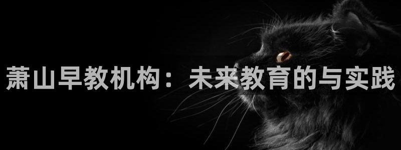 恒行娱乐寻问74 5：萧山早教机构：未来教育的与实践